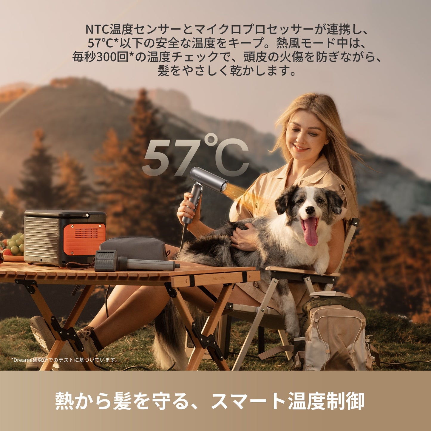 軽量300g 11万回転/分のモーター 3億個/cm³のプラチナマイナスイオン